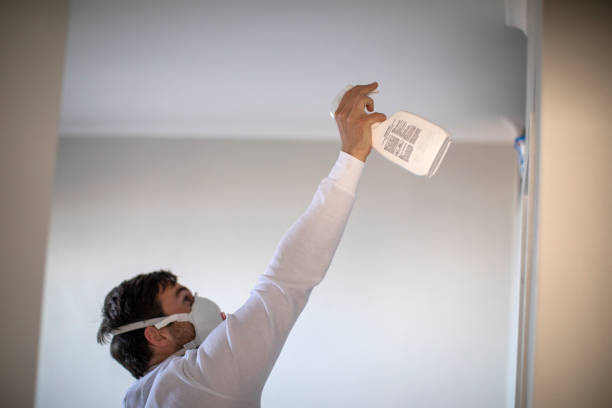 Trusted Santa Monica, CA Mold Removal Experts