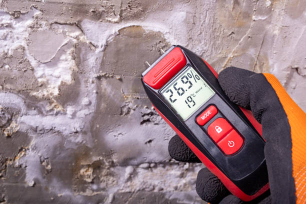 Best Water Damage Restoration  in Santa Moni, CA