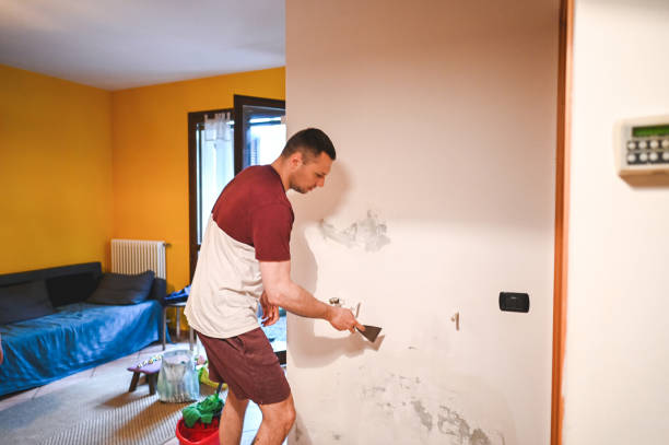 Best Certified Mold Removal  in Santa Moni, CA